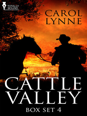 cover image of Cattle Valley Box Set 4